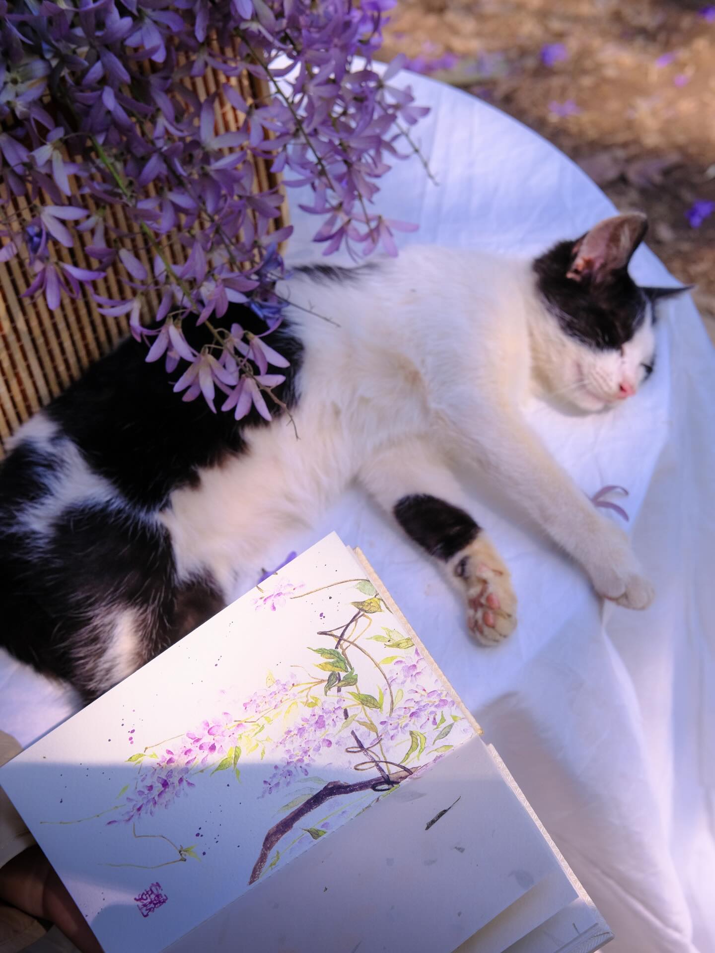 Kh&ocirc;ng phải hoa sưa, cũng chẳng phải hoa ban trắng, tọa độ check in hoa mai xanh Th&aacute;i đang được d&acirc;n t&igrave;nh m&ecirc; đắm- Ảnh 5.