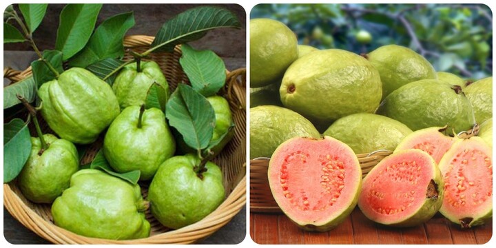 Những người kh&ocirc;ng n&ecirc;n ăn ổi- Ảnh 1.