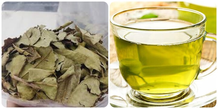 Nước l&aacute; vối kh&ocirc; c&oacute; t&aacute;c dụng g&igrave;?- Ảnh 1.