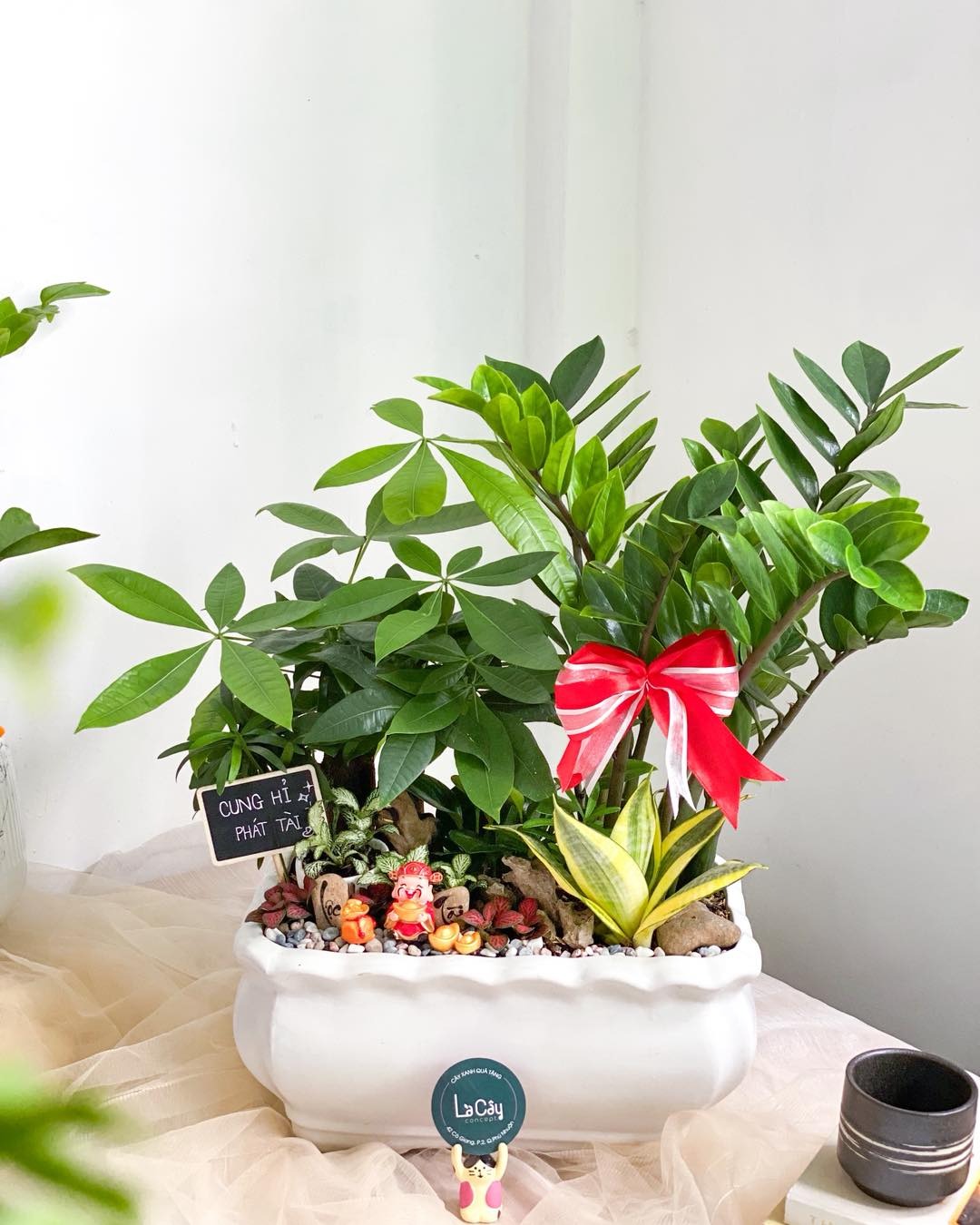 "C&acirc;y tiền" đến từ ch&acirc;u Phi nhưng lại l&agrave; c&acirc;y phong thủy quốc d&acirc;n của cả ch&acirc;u &Aacute;: Mời gọi qu&yacute; nh&acirc;n, k&iacute;ch t&agrave;i lộc rất tốt- Ảnh 3.