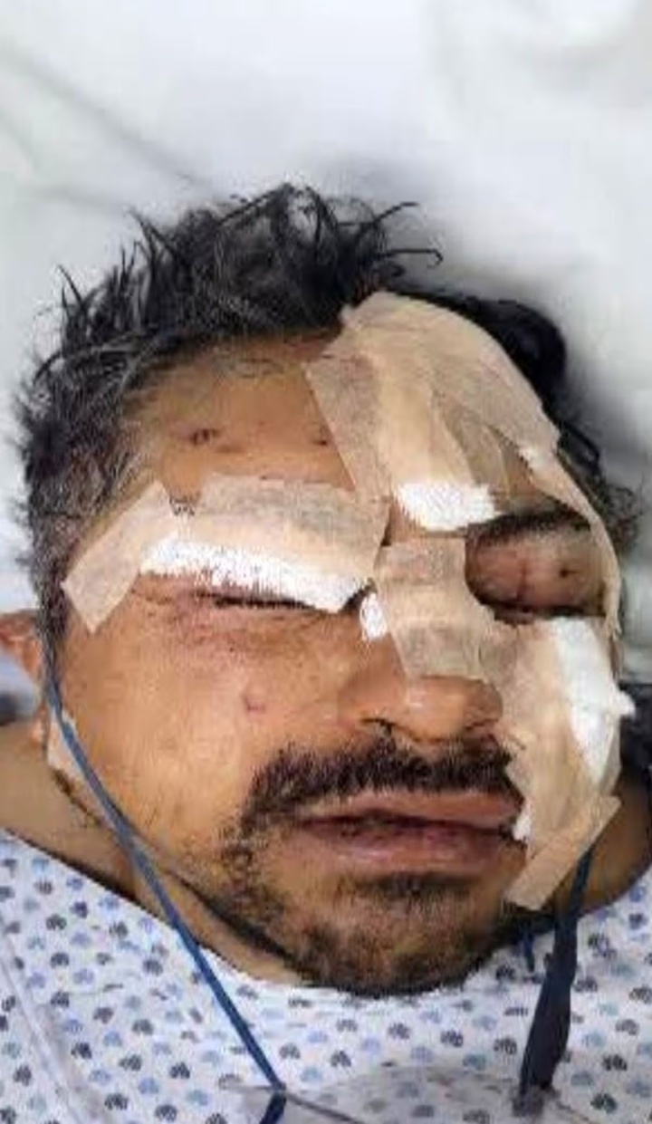 Say rượu thả 6 con sư tử khỏi chuồng, người đ&agrave;n &ocirc;ng nhận c&aacute;i kết đau đớn- Ảnh 2.