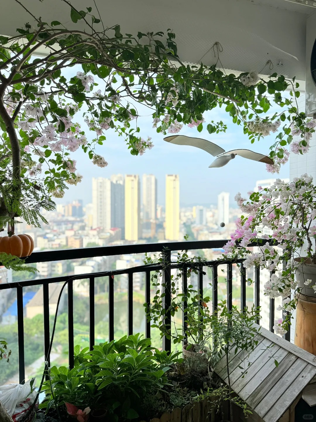 Giải m&atilde; cơn sốt chưng hoa giấy bonsai mini: C&acirc;y đong đầy năng lượng dương gi&uacute;p xua t&agrave; kh&iacute;, nh&agrave; chật mấy cũng rước được vượng kh&iacute; v&agrave;o nh&agrave;- Ảnh 13.