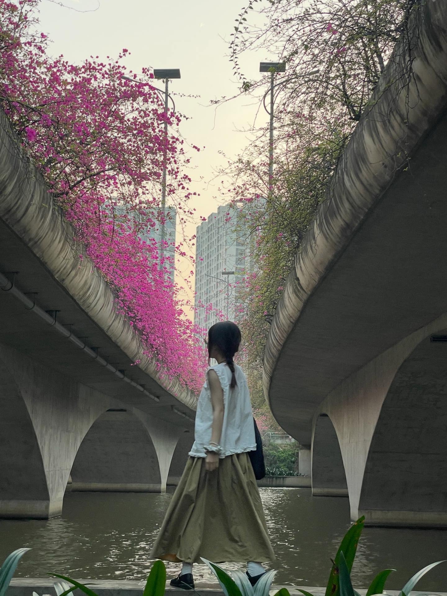 Kh&ocirc;ng cần ước ao sang Thượng Hải, ngay s&aacute;t v&aacute;ch H&agrave; Nội đang c&oacute; một c&acirc;y cầu hoa giấy đẹp như phim điện ảnh khiến hội chị em bấn loạn- Ảnh 13.