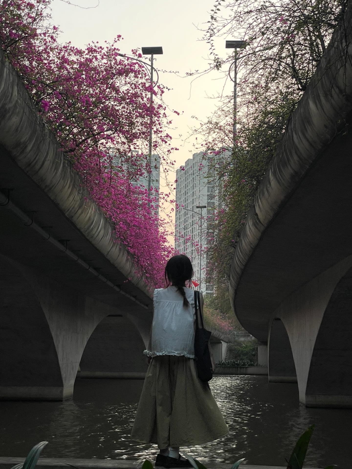 Kh&ocirc;ng cần ước ao sang Thượng Hải, ngay s&aacute;t v&aacute;ch H&agrave; Nội đang c&oacute; một c&acirc;y cầu hoa giấy đẹp như phim điện ảnh khiến hội chị em bấn loạn- Ảnh 12.