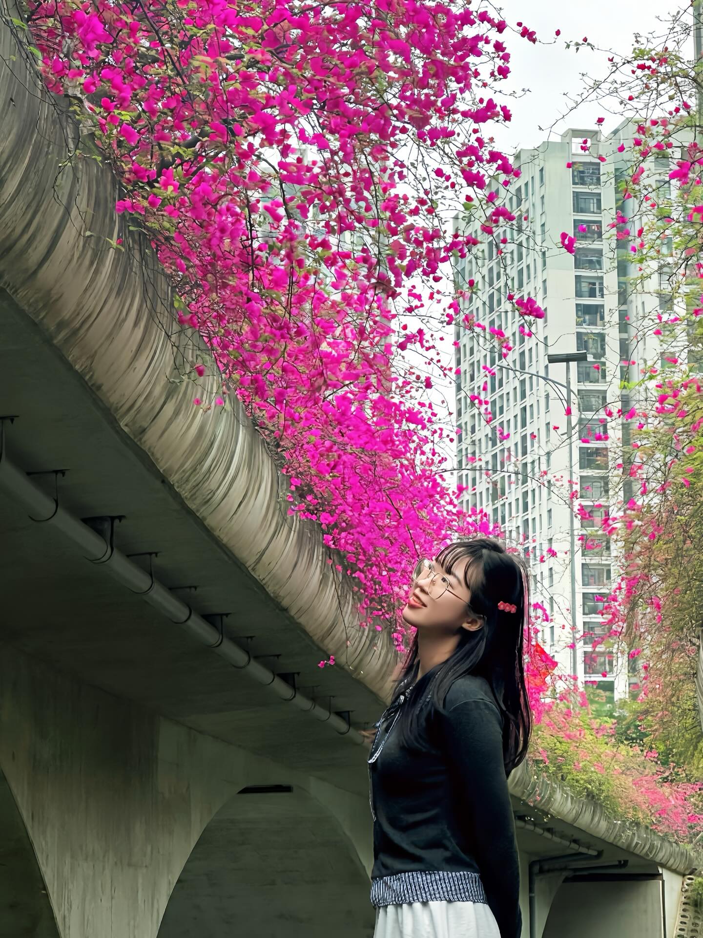 Kh&ocirc;ng cần ước ao sang Thượng Hải, ngay s&aacute;t v&aacute;ch H&agrave; Nội đang c&oacute; một c&acirc;y cầu hoa giấy đẹp như phim điện ảnh khiến hội chị em bấn loạn- Ảnh 17.