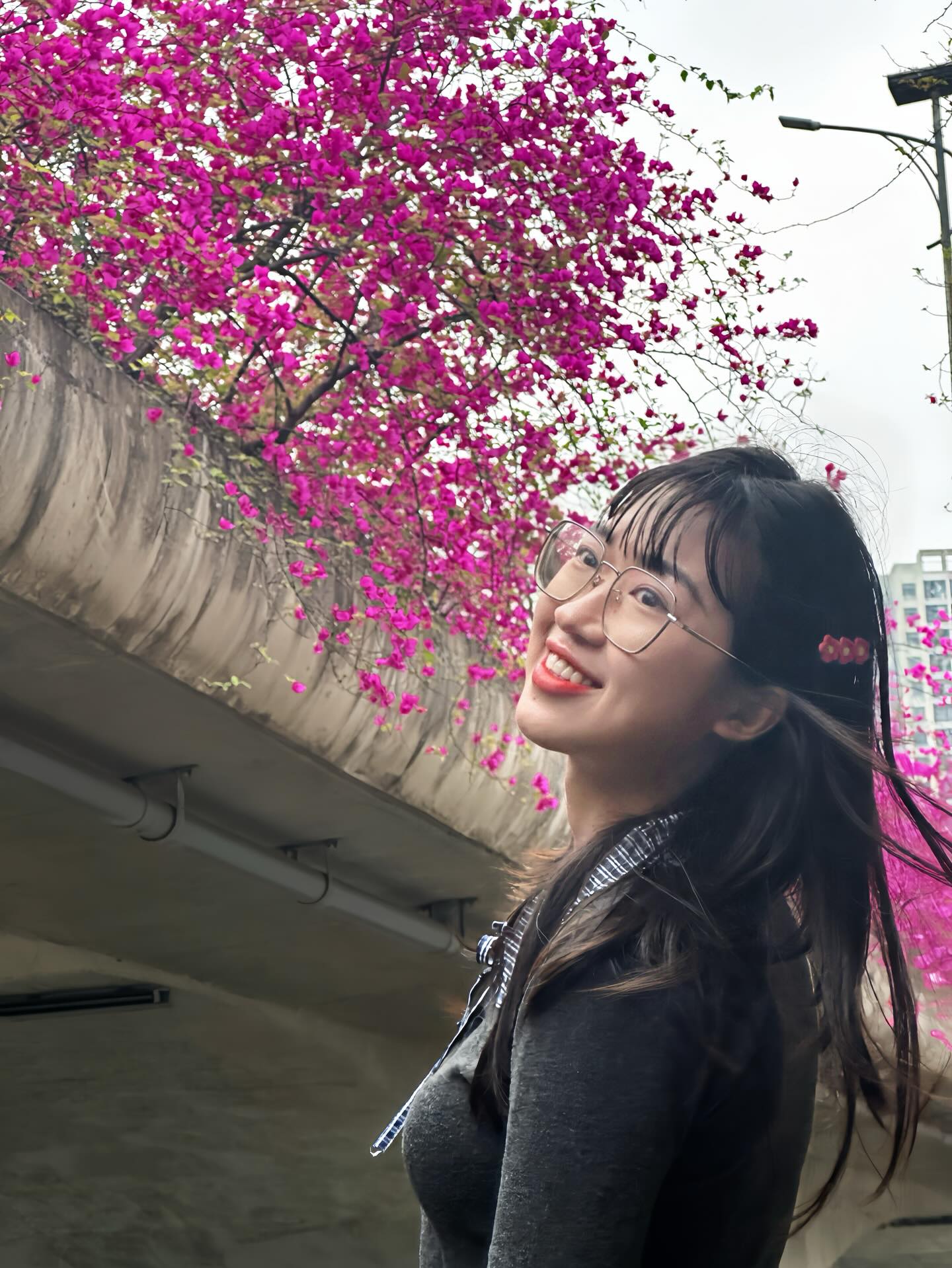 Kh&ocirc;ng cần ước ao sang Thượng Hải, ngay s&aacute;t v&aacute;ch H&agrave; Nội đang c&oacute; một c&acirc;y cầu hoa giấy đẹp như phim điện ảnh khiến hội chị em bấn loạn- Ảnh 18.