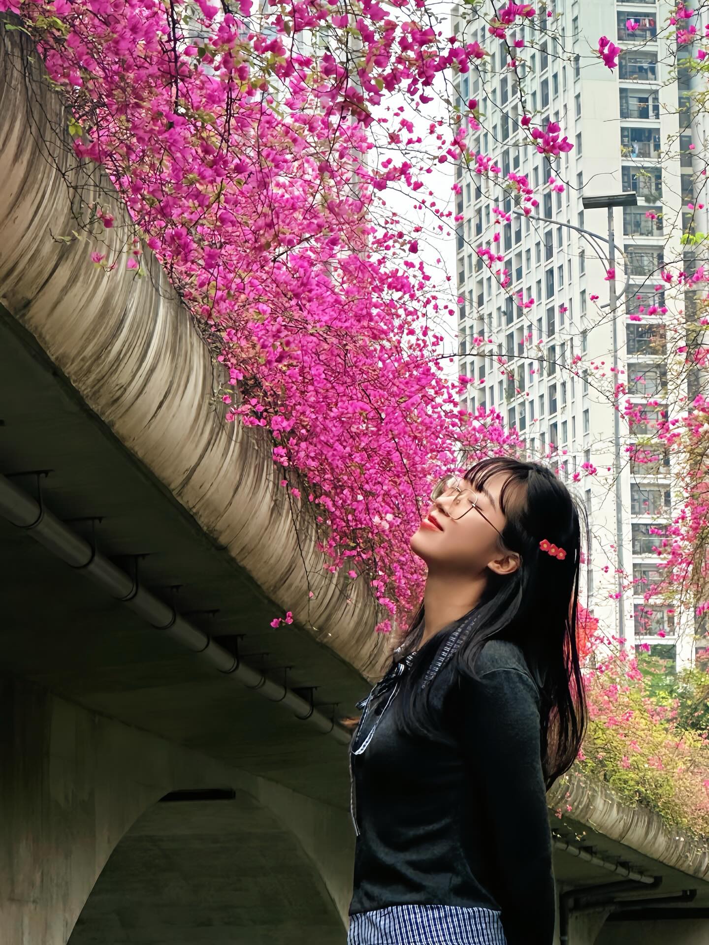 Kh&ocirc;ng cần ước ao sang Thượng Hải, ngay s&aacute;t v&aacute;ch H&agrave; Nội đang c&oacute; một c&acirc;y cầu hoa giấy đẹp như phim điện ảnh khiến hội chị em bấn loạn- Ảnh 19.