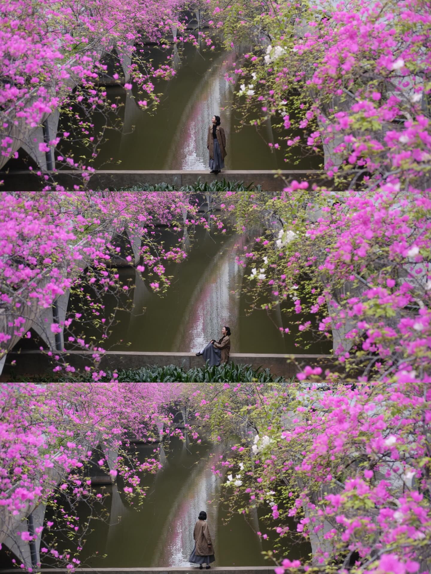 Kh&ocirc;ng cần ước ao sang Thượng Hải, ngay s&aacute;t v&aacute;ch H&agrave; Nội đang c&oacute; một c&acirc;y cầu hoa giấy đẹp như phim điện ảnh khiến hội chị em bấn loạn- Ảnh 10.