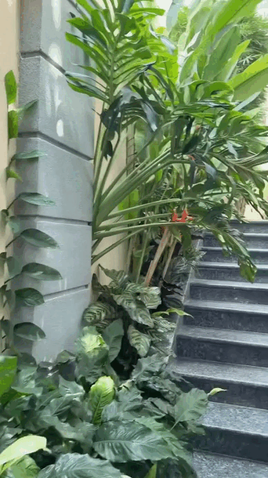 Nữ nghệ sĩ ở biệt thự 300 tỷ: 8/3 kh&ocirc;ng cần mua hoa v&igrave; ra vườn h&aacute;i l&agrave; c&oacute;- Ảnh 4.