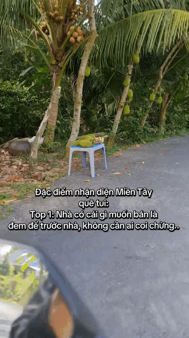 Lật tung mọi nơi chỉ miền T&acirc;y c&oacute; "đặc sản" n&agrave;y- Ảnh 4.