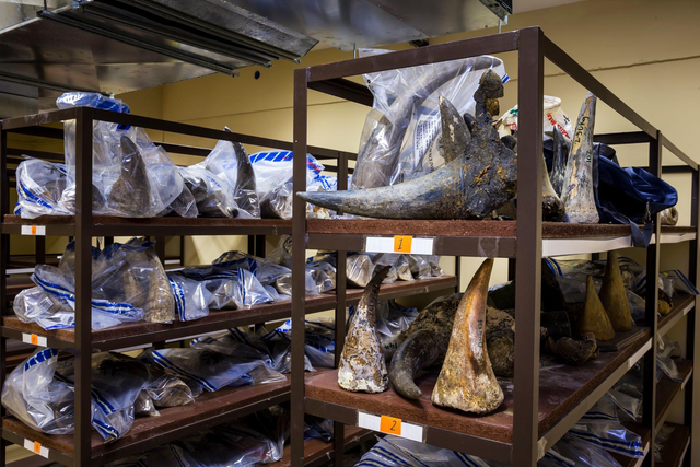 Đại gia kim cương Chu Đăng Khoa bị bắt- Ảnh 2.