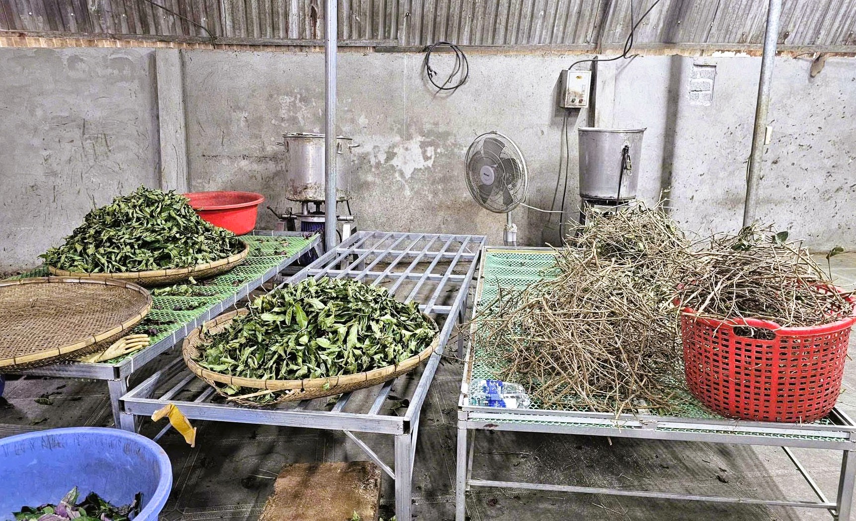 "Thần y" dỏm với "b&agrave;i thuốc gia truyền 3 đời" Ho&agrave;ng Minh Đường khiến h&agrave;ng ng&agrave;n người sập bẫy- Ảnh 2.