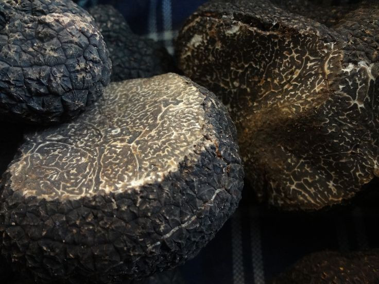 Thứ bị coi l&agrave; đồ bỏ đi bỗng h&oacute;a &ldquo;kho b&aacute;u&rdquo;, gi&aacute; ngất ngưởng hơn 3 tỷ đồng- Ảnh 4.