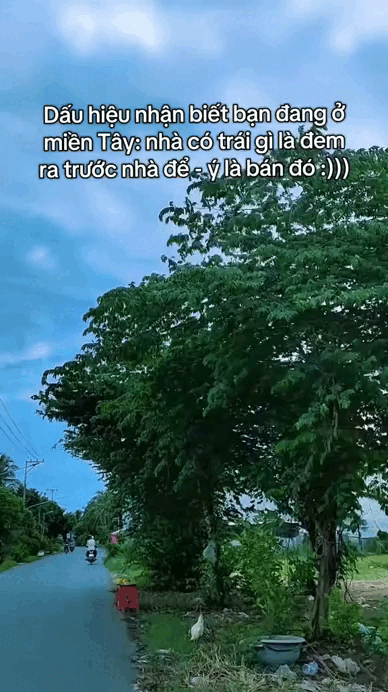 Lật tung mọi nơi chỉ miền T&acirc;y c&oacute; "đặc sản" n&agrave;y- Ảnh 1.