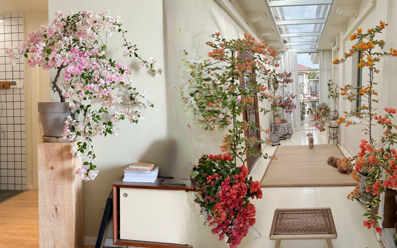 Giải m&atilde; cơn sốt chưng hoa giấy bonsai mini: C&acirc;y đong đầy năng lượng dương gi&uacute;p xua t&agrave; kh&iacute;, nh&agrave; chật mấy cũng rước được vượng kh&iacute; v&agrave;o nh&agrave;- Ảnh 1.