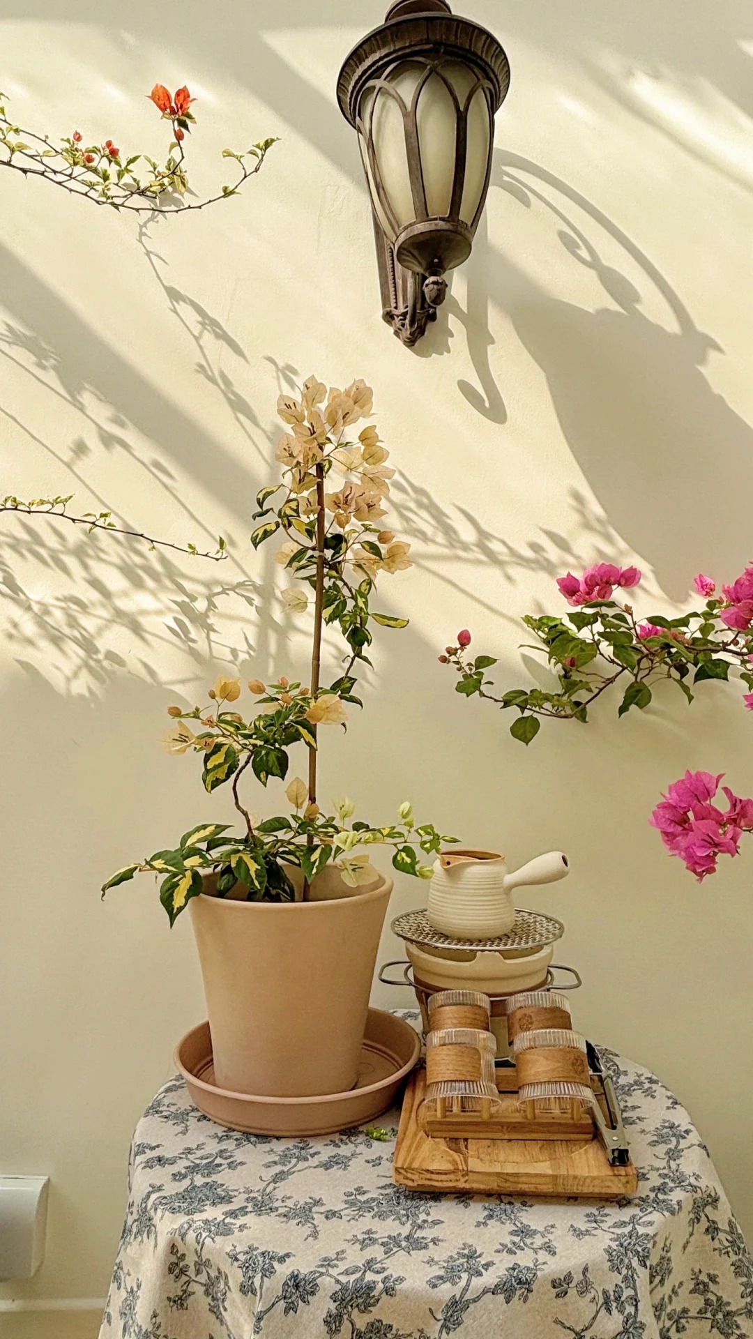 Giải m&atilde; cơn sốt chưng hoa giấy bonsai mini: C&acirc;y đong đầy năng lượng dương gi&uacute;p xua t&agrave; kh&iacute;, nh&agrave; chật mấy cũng rước được vượng kh&iacute; v&agrave;o nh&agrave;- Ảnh 15.