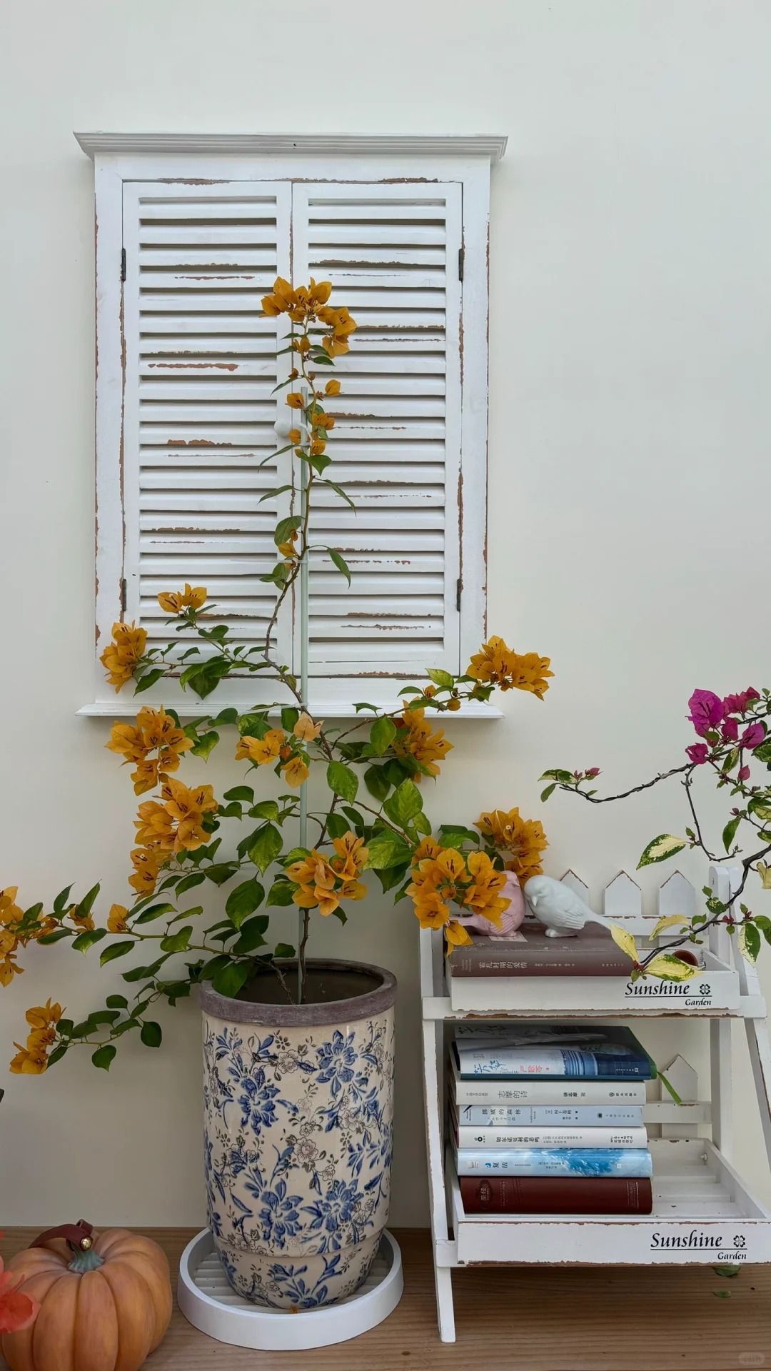 Giải m&atilde; cơn sốt chưng hoa giấy bonsai mini: C&acirc;y đong đầy năng lượng dương gi&uacute;p xua t&agrave; kh&iacute;, nh&agrave; chật mấy cũng rước được vượng kh&iacute; v&agrave;o nh&agrave;- Ảnh 14.