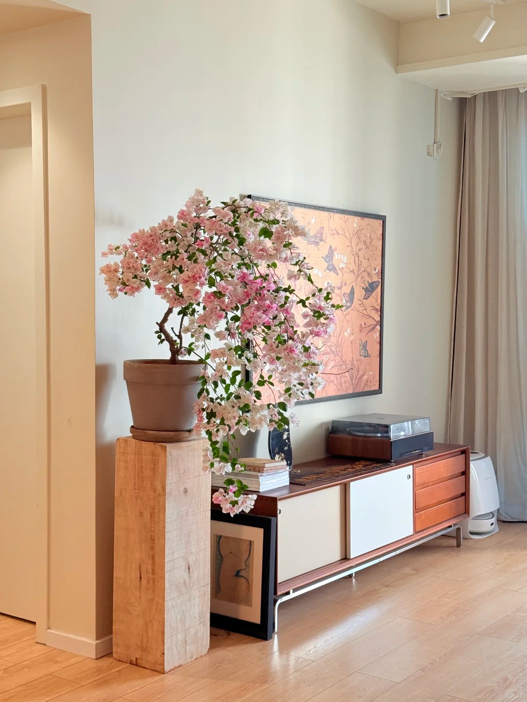 Giải m&atilde; cơn sốt chưng hoa giấy bonsai mini: C&acirc;y đong đầy năng lượng dương gi&uacute;p xua t&agrave; kh&iacute;, nh&agrave; chật mấy cũng rước được vượng kh&iacute; v&agrave;o nh&agrave;- Ảnh 11.