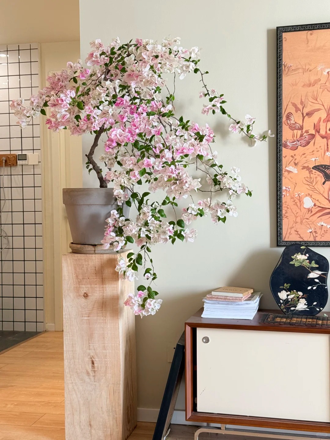 Giải m&atilde; cơn sốt chưng hoa giấy bonsai mini: C&acirc;y đong đầy năng lượng dương gi&uacute;p xua t&agrave; kh&iacute;, nh&agrave; chật mấy cũng rước được vượng kh&iacute; v&agrave;o nh&agrave;- Ảnh 12.