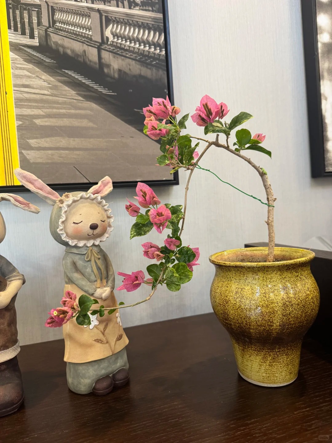 Giải m&atilde; cơn sốt chưng hoa giấy bonsai mini: C&acirc;y đong đầy năng lượng dương gi&uacute;p xua t&agrave; kh&iacute;, nh&agrave; chật mấy cũng rước được vượng kh&iacute; v&agrave;o nh&agrave;- Ảnh 8.