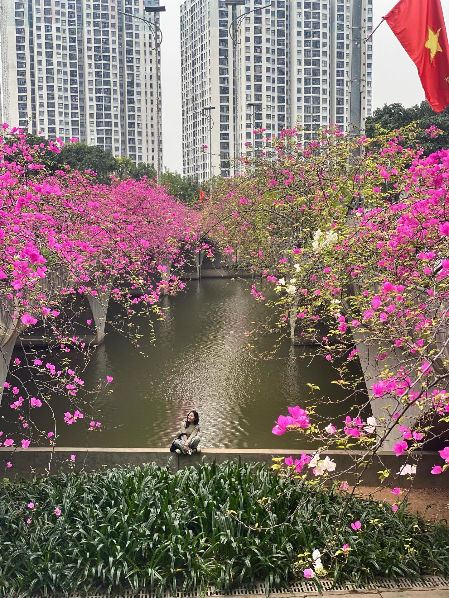 Kh&ocirc;ng cần ước ao sang Thượng Hải, ngay s&aacute;t v&aacute;ch H&agrave; Nội đang c&oacute; một c&acirc;y cầu hoa giấy đẹp như phim điện ảnh khiến hội chị em bấn loạn- Ảnh 3.