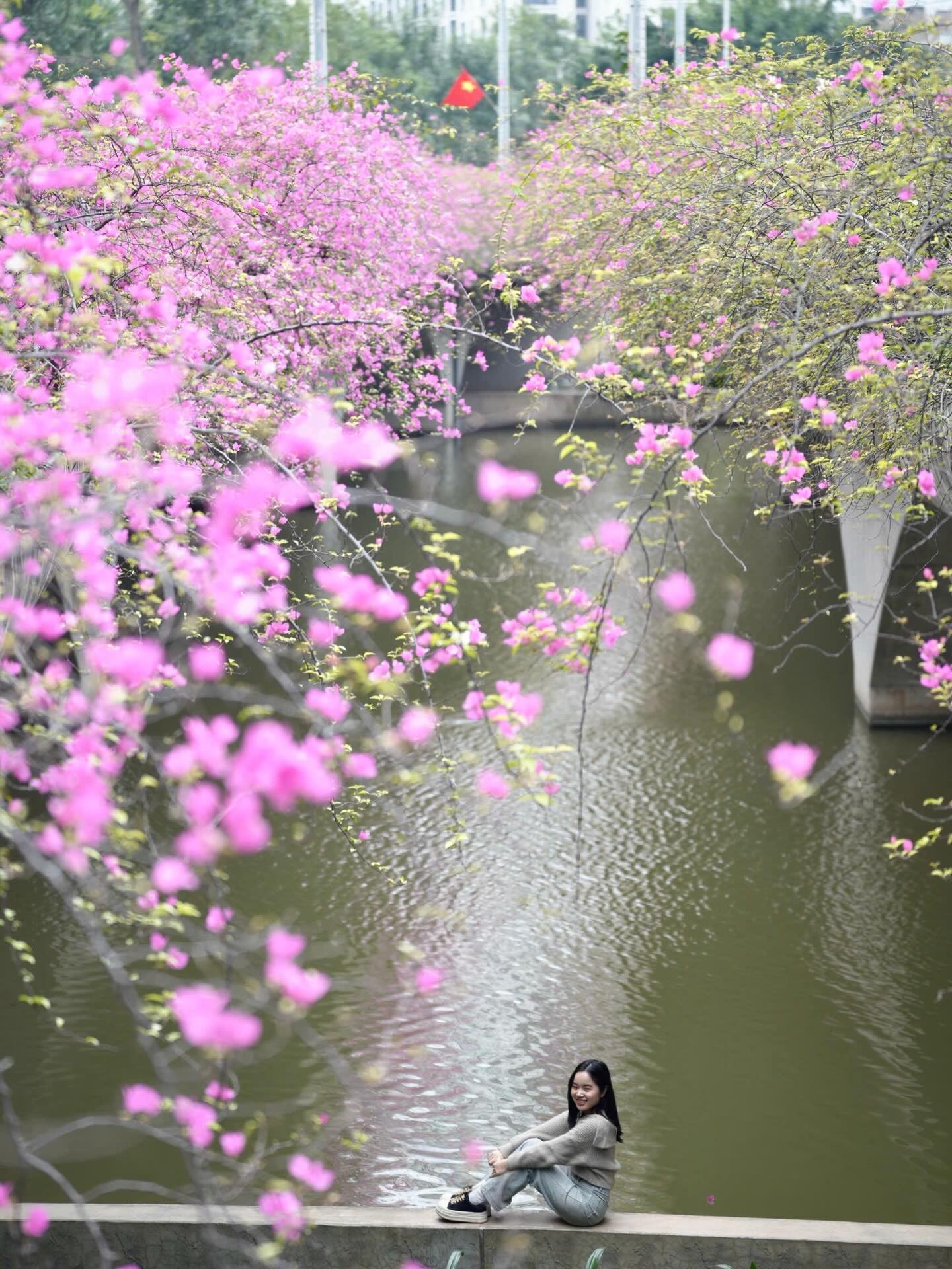Kh&ocirc;ng cần ước ao sang Thượng Hải, ngay s&aacute;t v&aacute;ch H&agrave; Nội đang c&oacute; một c&acirc;y cầu hoa giấy đẹp như phim điện ảnh khiến hội chị em bấn loạn- Ảnh 5.