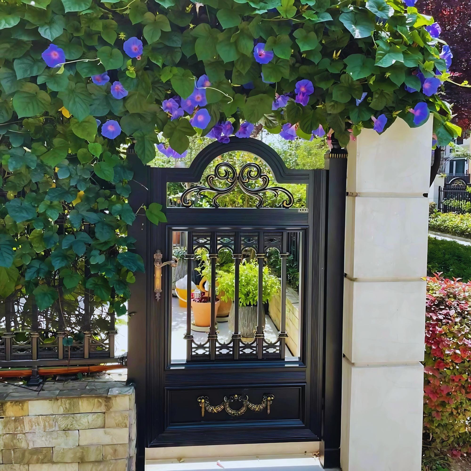 9 loại c&acirc;y may mắn n&ecirc;n trồng trước cửa nh&agrave;- Ảnh 2.