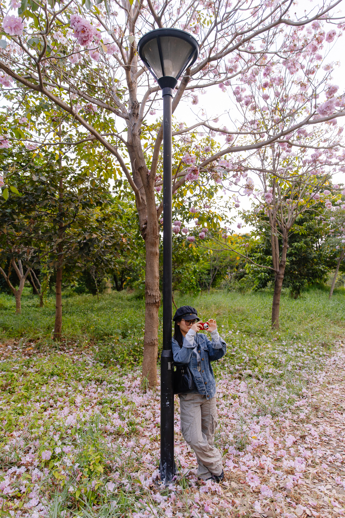 Giữa c&aacute;i nắng gắt ở TP.HCM, d&acirc;n t&igrave;nh đồng loạt đi chậm lại ngắm h&agrave;ng k&egrave;n hồng hiếm hoi trong năm- Ảnh 20.