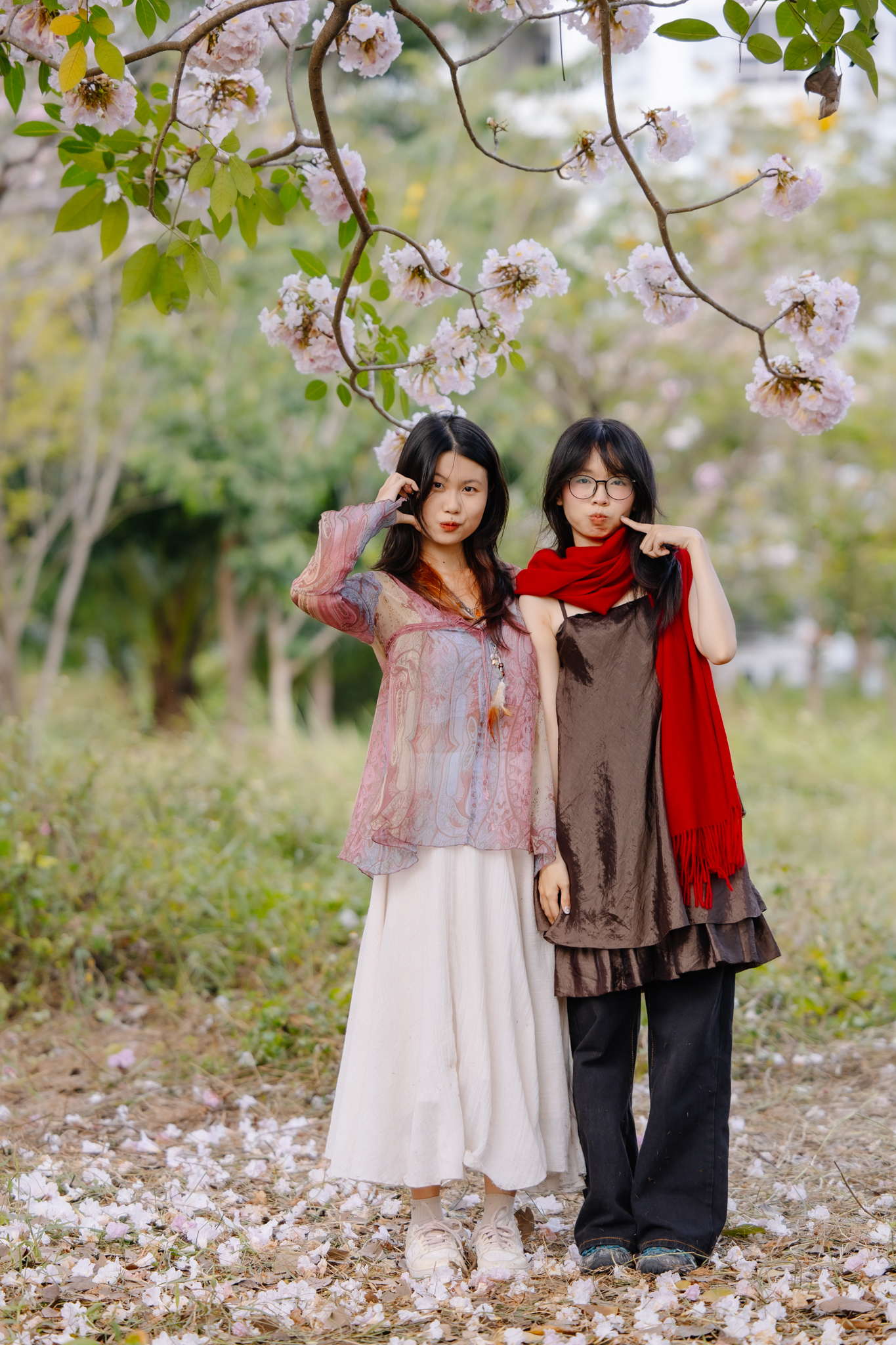 Giữa c&aacute;i nắng gắt ở TP.HCM, d&acirc;n t&igrave;nh đồng loạt đi chậm lại ngắm h&agrave;ng k&egrave;n hồng hiếm hoi trong năm- Ảnh 18.