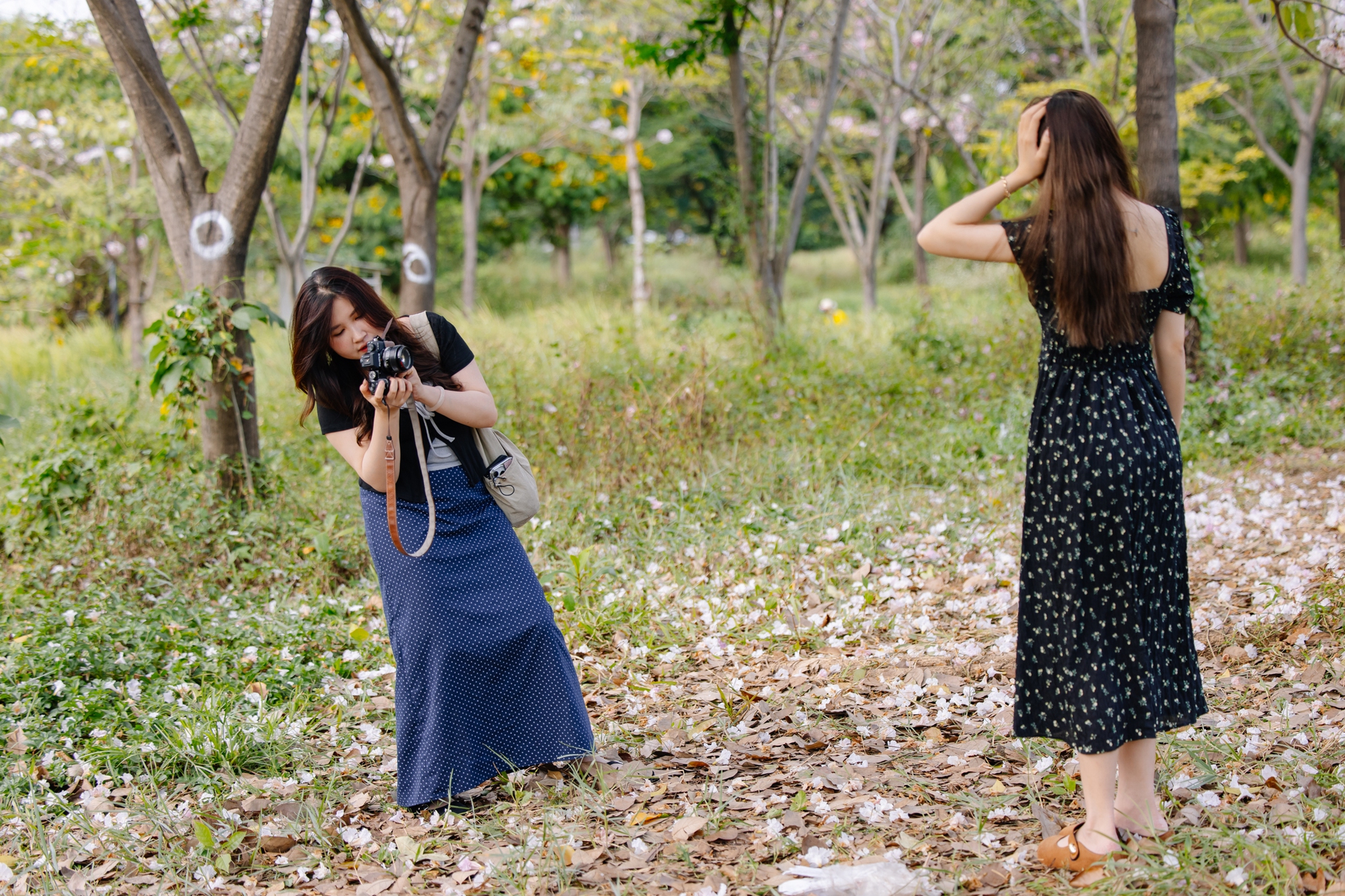 Giữa c&aacute;i nắng gắt ở TP.HCM, d&acirc;n t&igrave;nh đồng loạt đi chậm lại ngắm h&agrave;ng k&egrave;n hồng hiếm hoi trong năm- Ảnh 21.