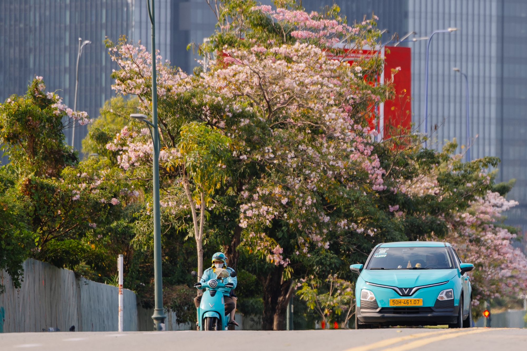 Giữa c&aacute;i nắng gắt ở TP.HCM, d&acirc;n t&igrave;nh đồng loạt đi chậm lại ngắm h&agrave;ng k&egrave;n hồng hiếm hoi trong năm- Ảnh 16.