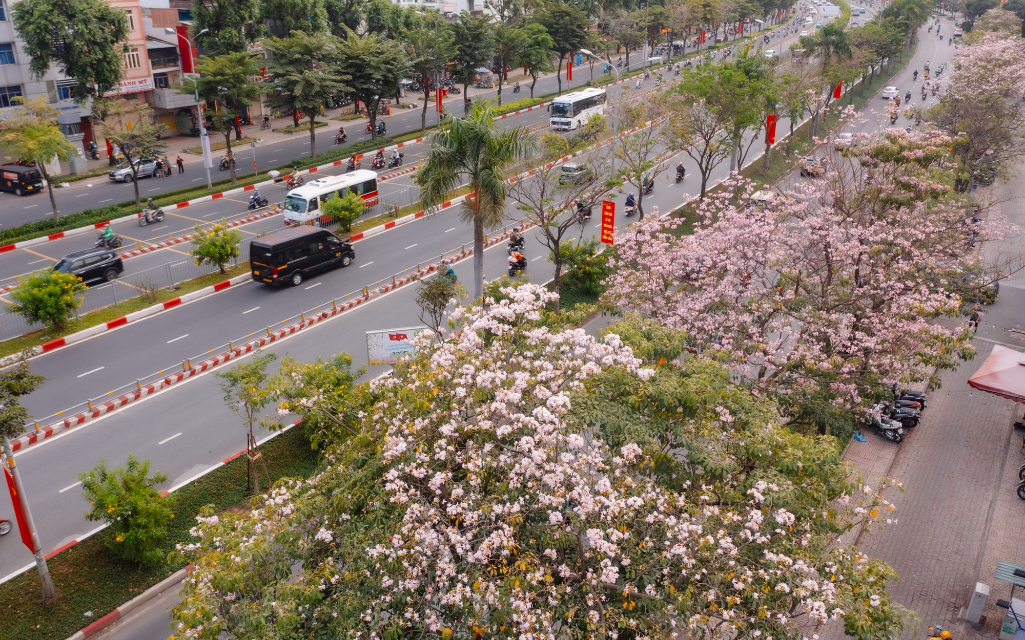 Giữa c&aacute;i nắng gắt ở TP.HCM, d&acirc;n t&igrave;nh đồng loạt đi chậm lại ngắm h&agrave;ng k&egrave;n hồng hiếm hoi trong năm- Ảnh 12.