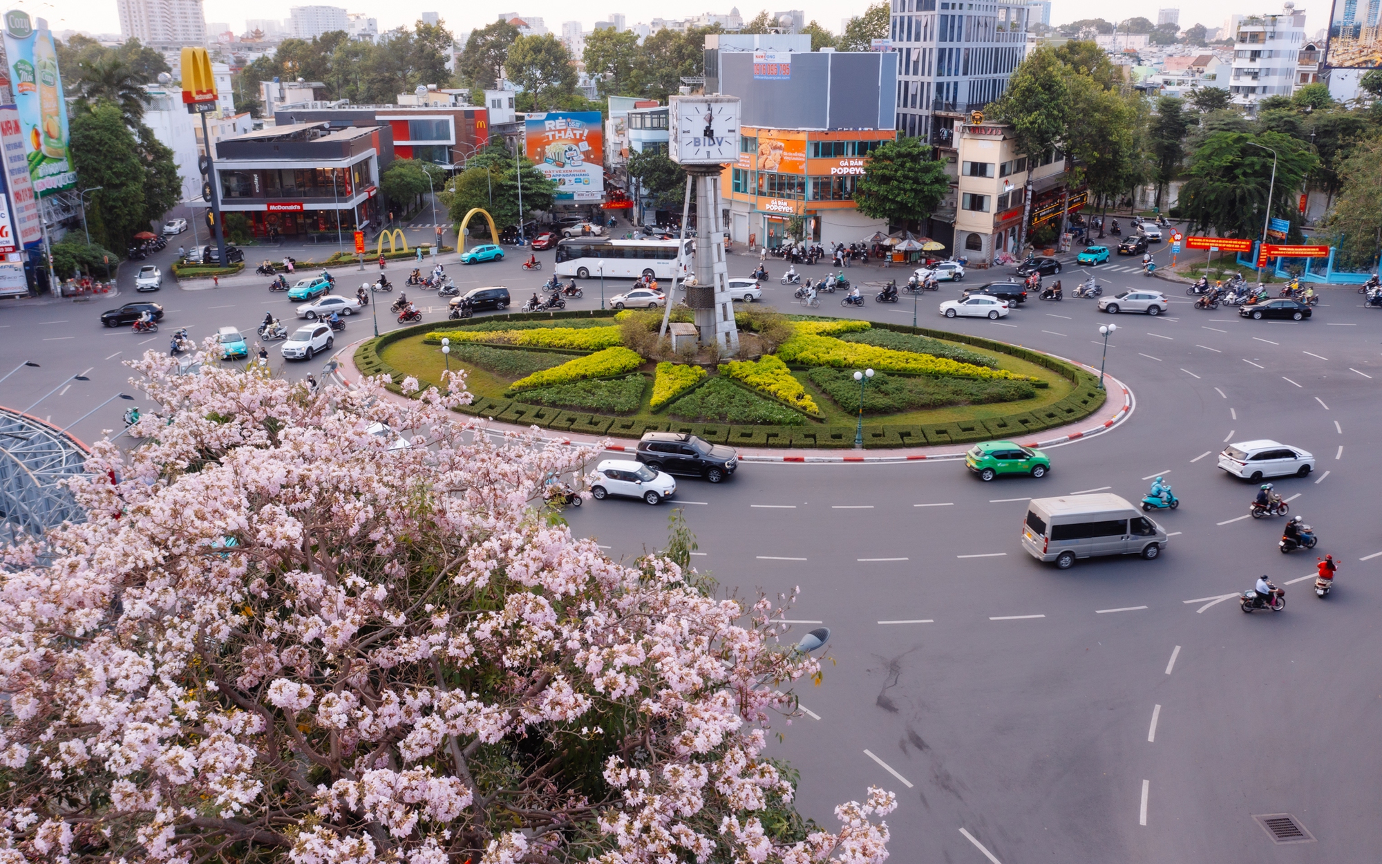 Giữa c&aacute;i nắng gắt ở TP.HCM, d&acirc;n t&igrave;nh đồng loạt đi chậm lại ngắm h&agrave;ng k&egrave;n hồng hiếm hoi trong năm- Ảnh 14.