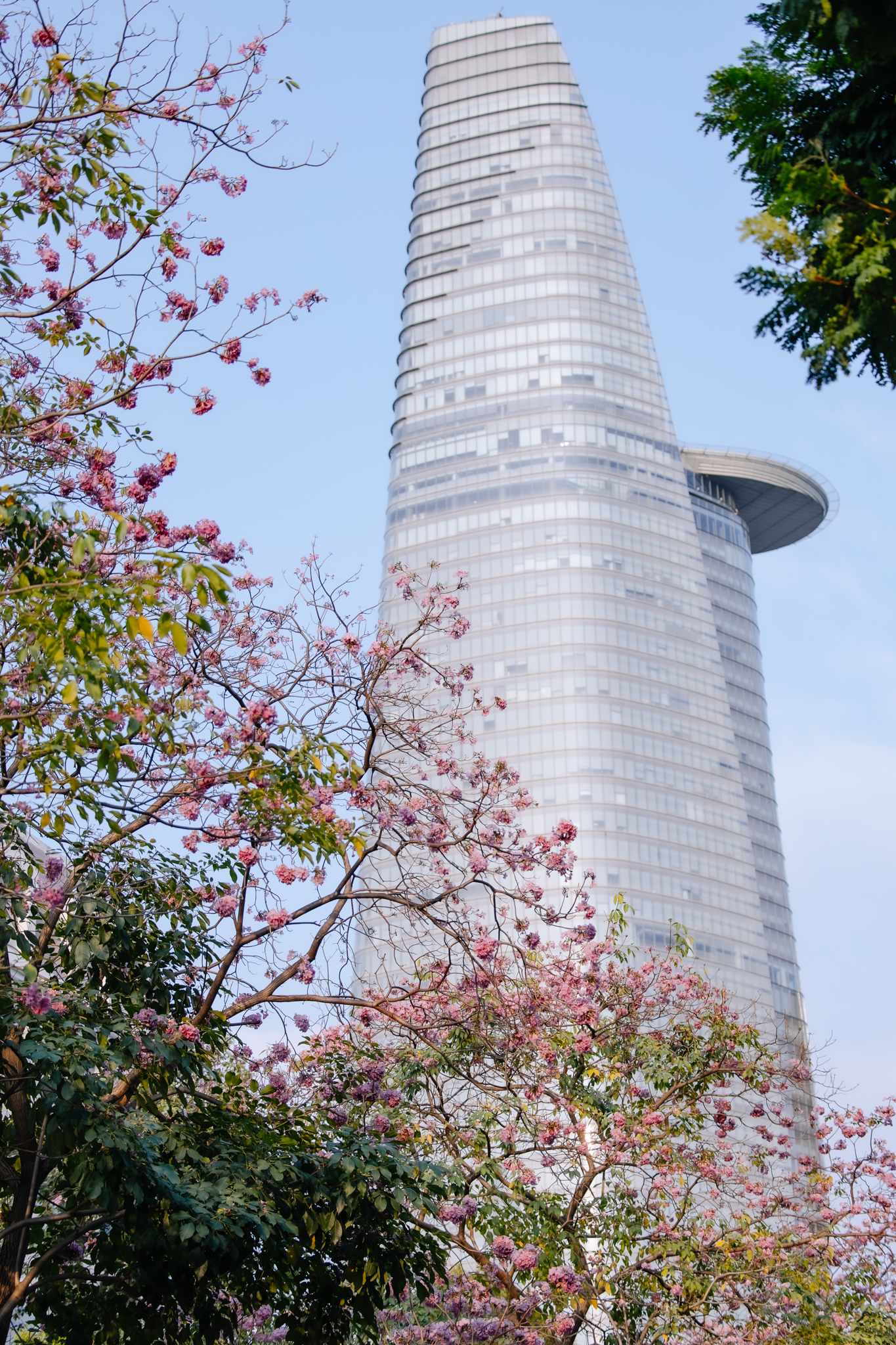 Giữa c&aacute;i nắng gắt ở TP.HCM, d&acirc;n t&igrave;nh đồng loạt đi chậm lại ngắm h&agrave;ng k&egrave;n hồng hiếm hoi trong năm- Ảnh 13.