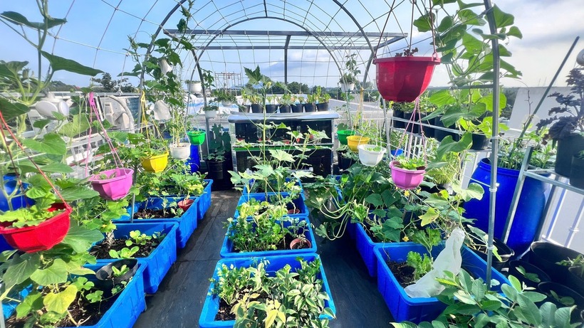 Mẹ đảm Đồng Nai biến s&acirc;n thượng 90m2 th&agrave;nh "si&ecirc;u thị" tại gia, nu&ocirc;i g&agrave; tầng hầm, thu hoạch rau quả mỏi tay- Ảnh 1.