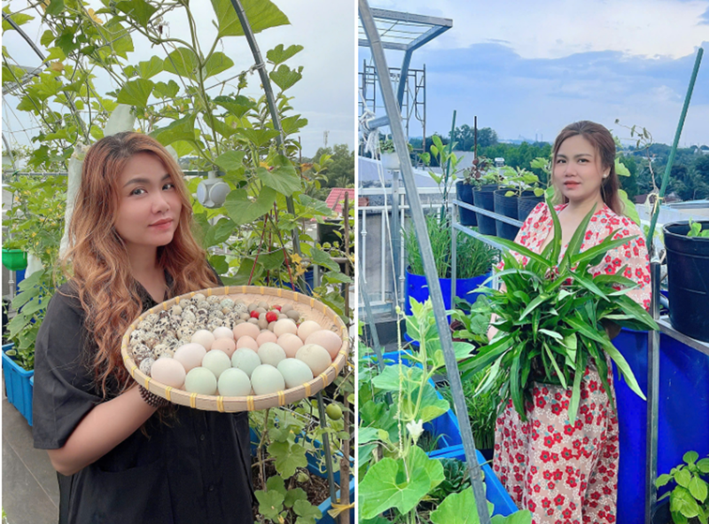 Mẹ đảm Đồng Nai biến s&acirc;n thượng 90m2 th&agrave;nh "si&ecirc;u thị" tại gia, nu&ocirc;i g&agrave; tầng hầm, thu hoạch rau quả mỏi tay- Ảnh 2.