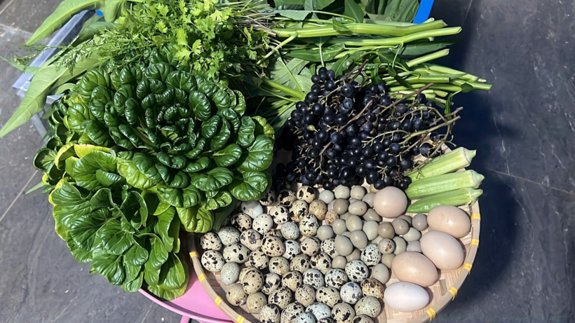 Mẹ đảm Đồng Nai biến s&acirc;n thượng 90m2 th&agrave;nh "si&ecirc;u thị" tại gia, nu&ocirc;i g&agrave; tầng hầm, thu hoạch rau quả mỏi tay- Ảnh 7.