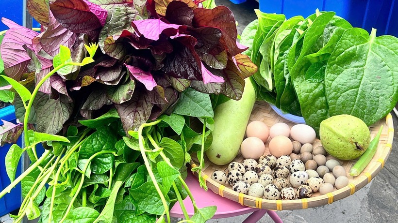 Mẹ đảm Đồng Nai biến s&acirc;n thượng 90m2 th&agrave;nh "si&ecirc;u thị" tại gia, nu&ocirc;i g&agrave; tầng hầm, thu hoạch rau quả mỏi tay- Ảnh 8.