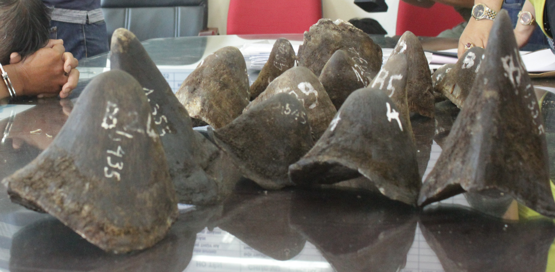 Đại gia kim cương Chu Đăng Khoa vừa bị bắt gi&agrave;u thế n&agrave;o?- Ảnh 1.