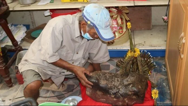 Tảng đ&aacute; h&igrave;nh con ếch trong cửa h&agrave;ng bỗng xuất hiện vệt v&agrave;ng lạ sau Tết, người d&acirc;n k&eacute;o đến xem k&iacute;n nh&agrave;- Ảnh 2.