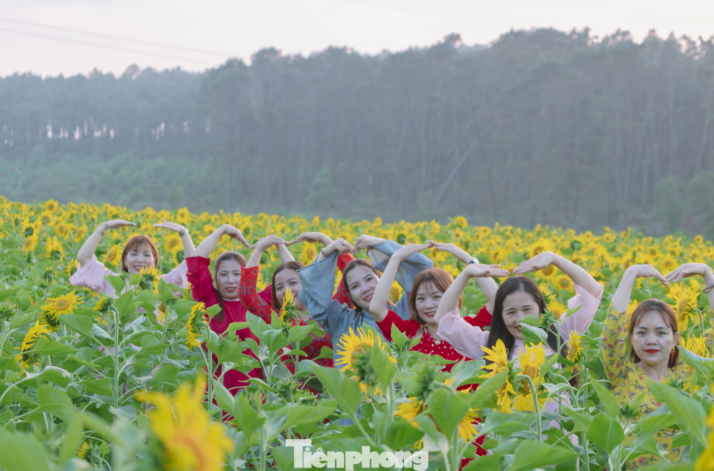 Bạn trẻ nườm nượp check-in vườn hoa hướng dương ở qu&ecirc; B&aacute;c- Ảnh 16.