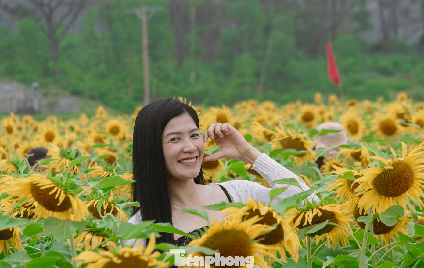 Bạn trẻ nườm nượp check-in vườn hoa hướng dương ở qu&ecirc; B&aacute;c- Ảnh 7.