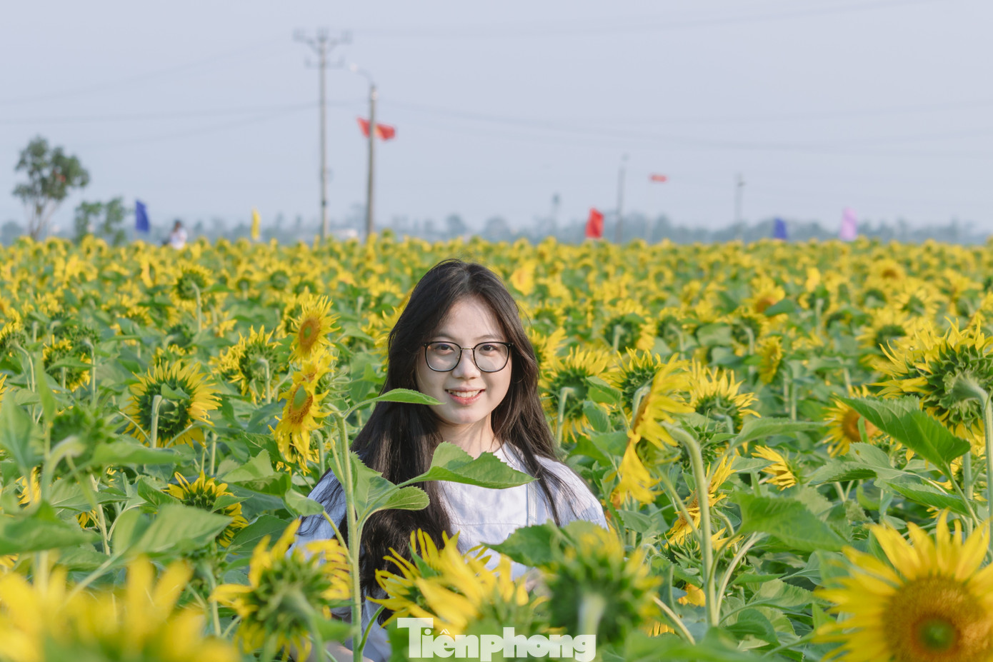 Bạn trẻ nườm nượp check-in vườn hoa hướng dương ở qu&ecirc; B&aacute;c- Ảnh 6.