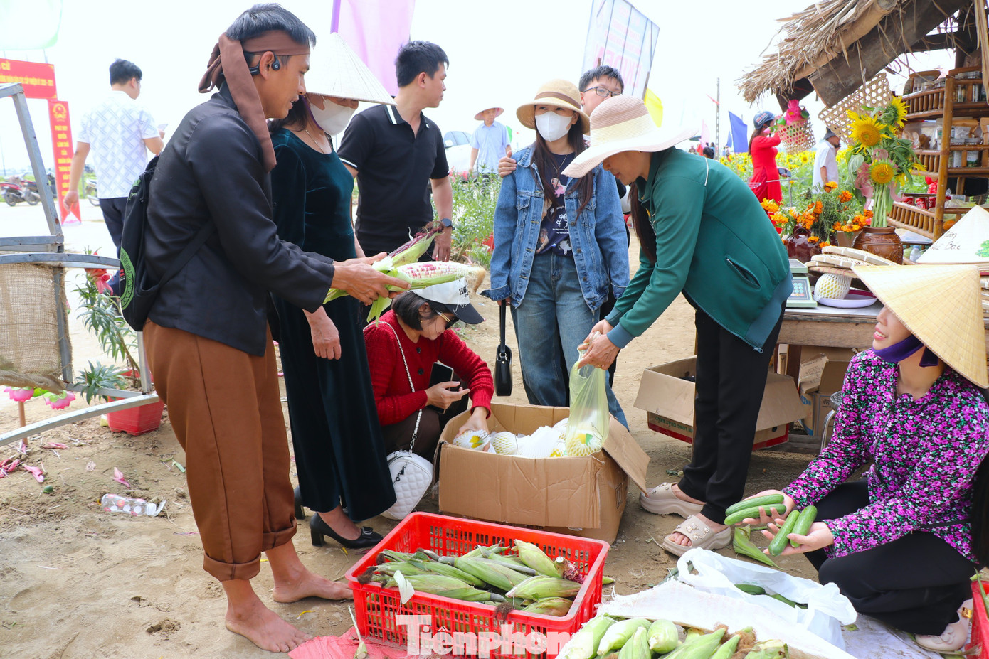 Bạn trẻ nườm nượp check-in vườn hoa hướng dương ở qu&ecirc; B&aacute;c- Ảnh 13.