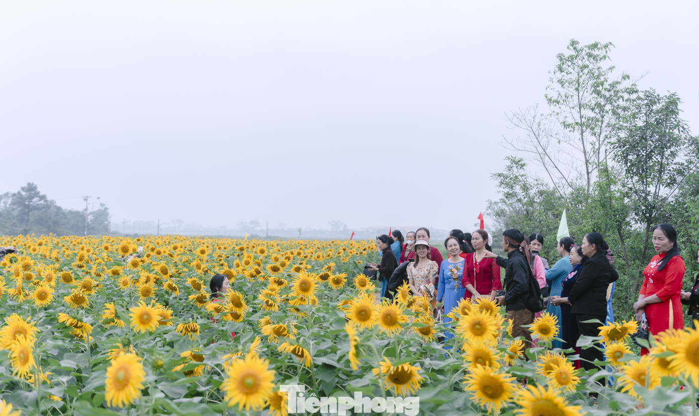 Bạn trẻ nườm nượp check-in vườn hoa hướng dương ở qu&ecirc; B&aacute;c- Ảnh 1.