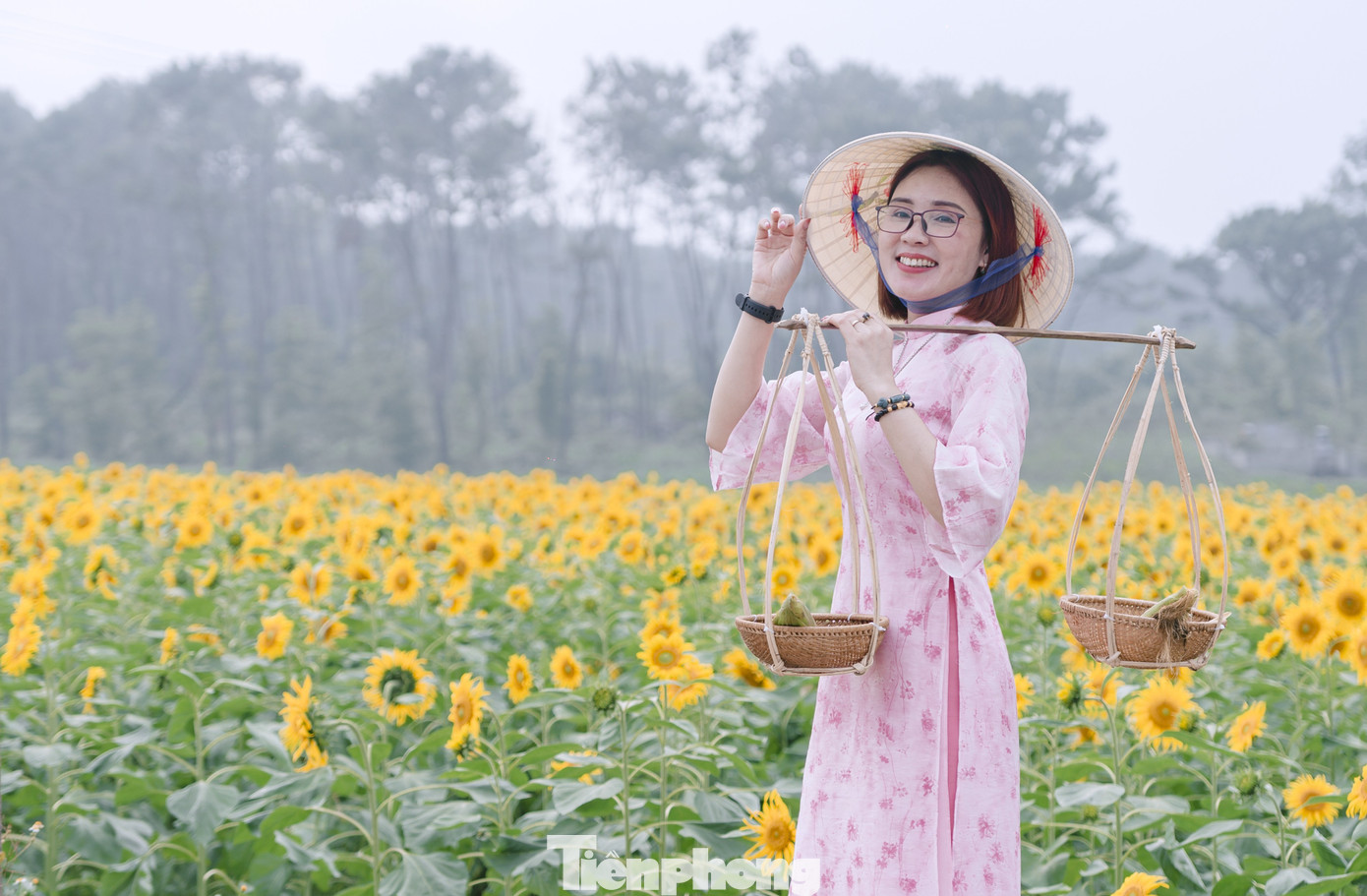 Bạn trẻ nườm nượp check-in vườn hoa hướng dương ở qu&ecirc; B&aacute;c- Ảnh 4.