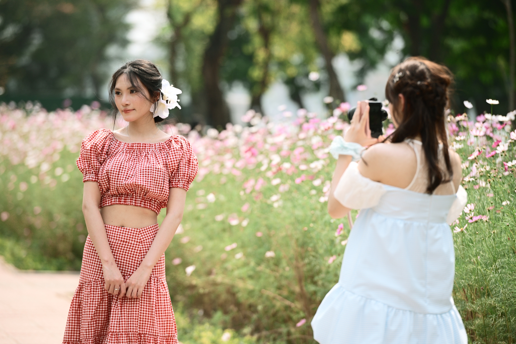 Người Hà Nội đang đổ xô ra công viên Thống Nhất săn lùng một khung cảnh vô thực- Ảnh 15. Người Hà Nội đang đổ xô ra công viên Thống Nhất săn lùng một khung cảnh vô thực- Ảnh 15.