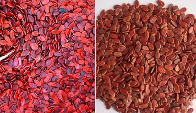 Ng&agrave;y c&agrave;ng nhiều người c&ograve;n trẻ đ&atilde; khổ v&igrave; bệnh gan, b&aacute;c sĩ khuy&ecirc;n: 5 loại hạt n&agrave;y th&egrave;m mấy cũng ăn &iacute;t lại!- Ảnh 3.