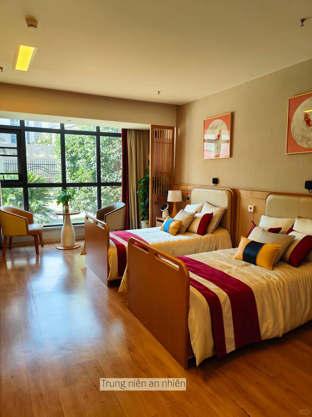 Xuất hiện viện dưỡng l&atilde;o ph&ograve;ng như chung cư, ri&ecirc;ng gi&aacute; ph&ograve;ng từ 16 triệu đồng/th&aacute;ng, c&oacute; sẵn khu kh&aacute;m bệnh- Ảnh 1.