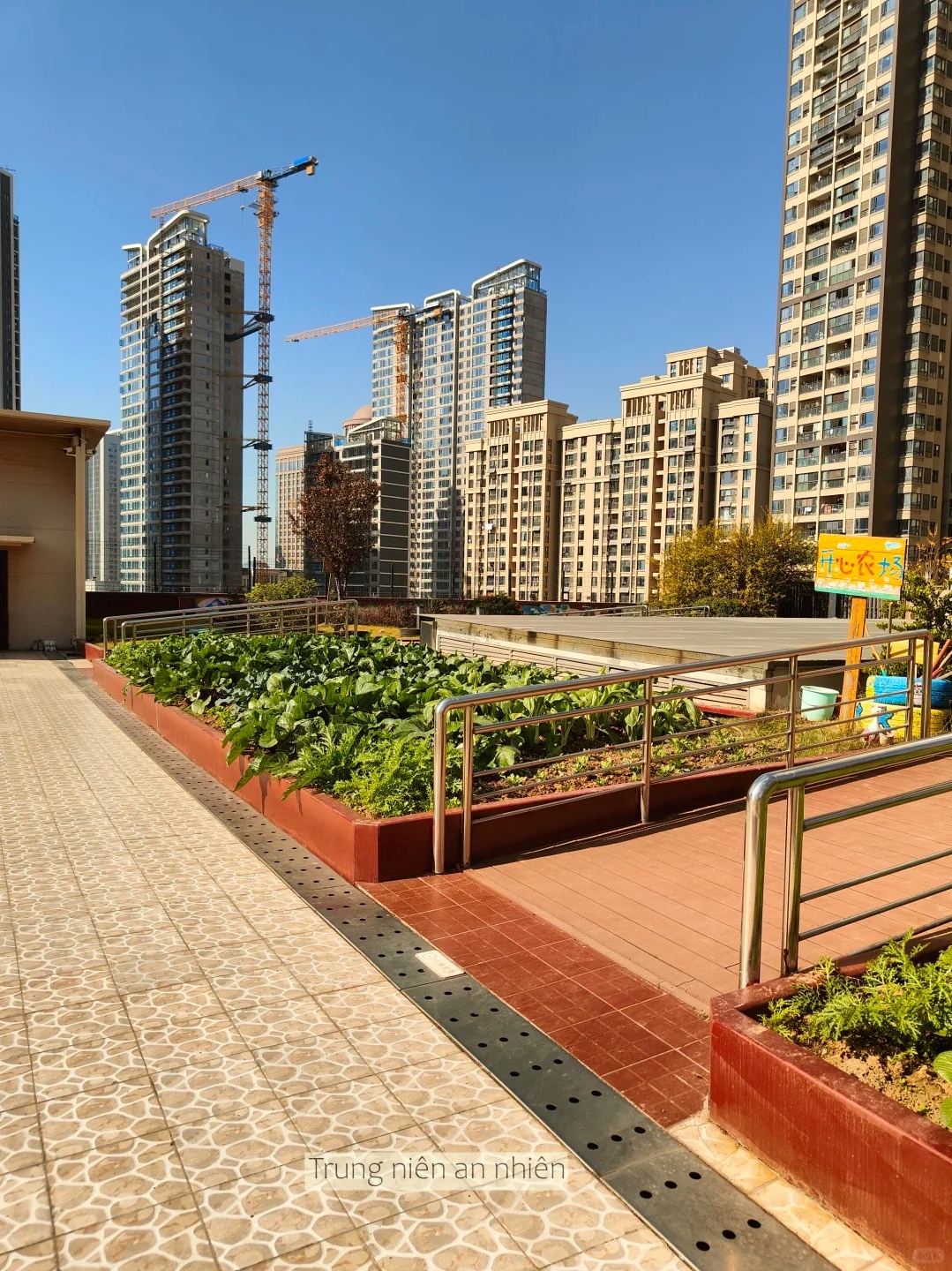 Xuất hiện viện dưỡng l&atilde;o ph&ograve;ng như chung cư, ri&ecirc;ng gi&aacute; ph&ograve;ng từ 16 triệu đồng/th&aacute;ng, c&oacute; sẵn khu kh&aacute;m bệnh- Ảnh 9.